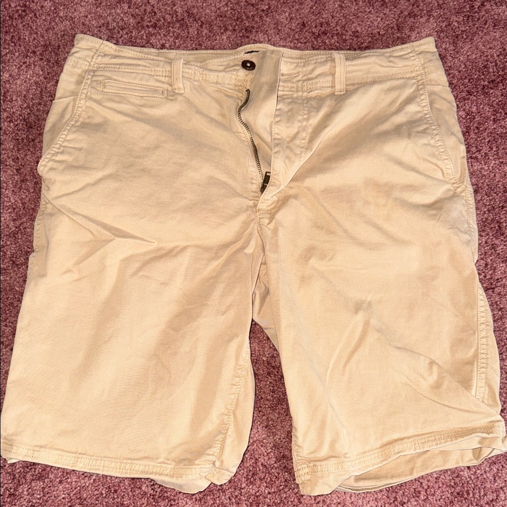American Eagle Outfitters Beige Flat Front Shorts